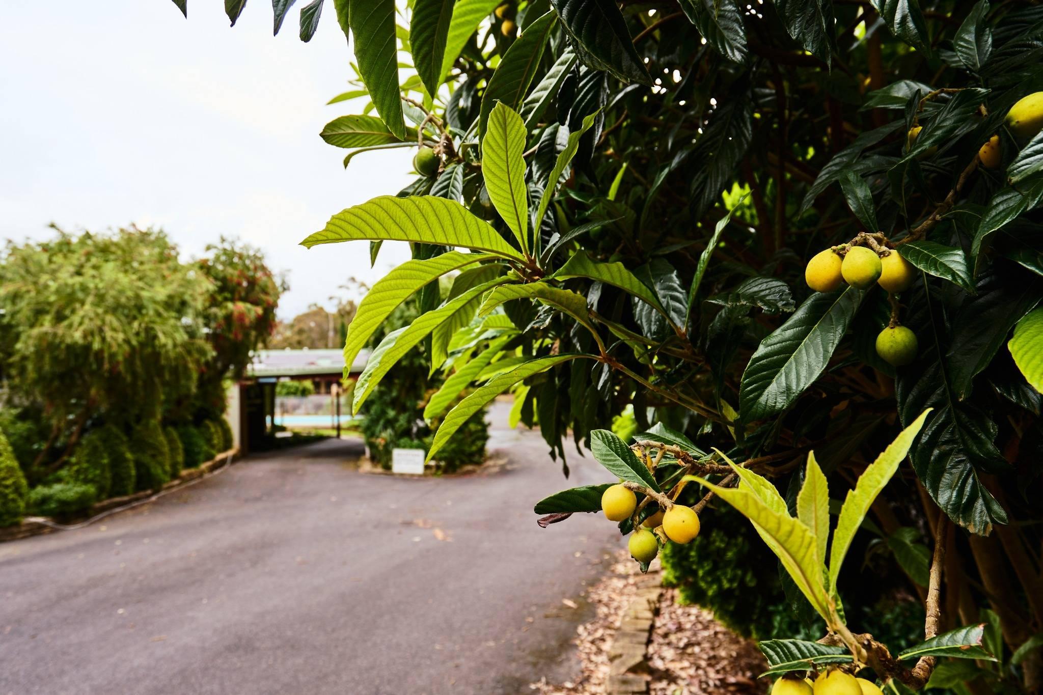Entrance Scenery