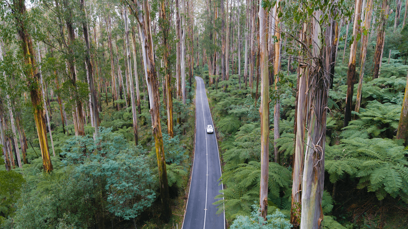 The Black Spur Drive